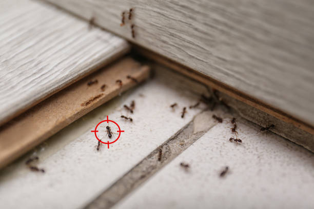 Best Wildlife Control Services  in Redwood Valley, CA