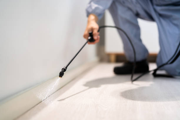 Reliable Redwood Valley, CA Pest Control Solutions