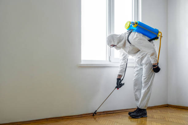 Best Commercial Pest Control Services  in Redwood Valley, CA