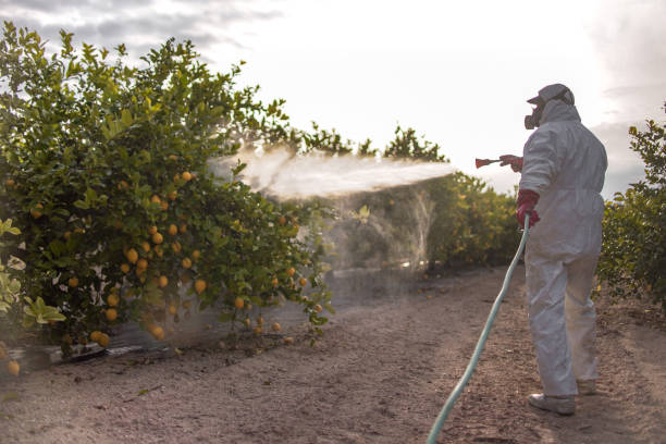 Best Ant Control Services  in Redwood Valley, CA