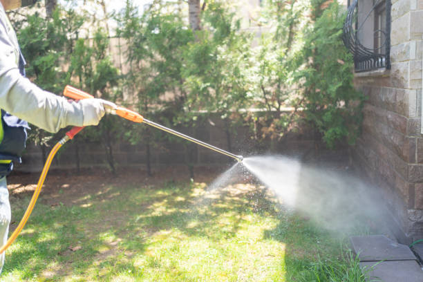 Best Mosquito Control Services  in Redwood Valley, CA