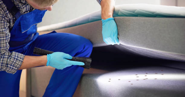 Best Termite Control Services  in Redwood Valley, CA