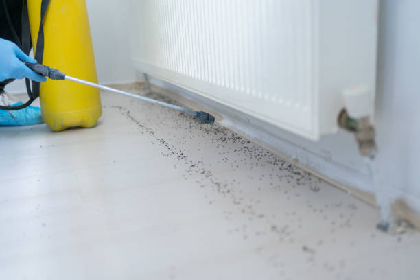  Redwood Valley, CA Pest Control Pros