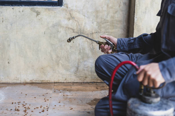 Best Emergency Pest Control  in Redwood Valley, CA