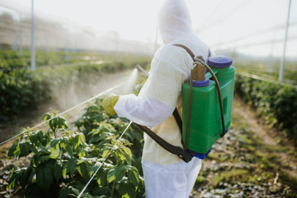 Best Bed Bug Extermination  in Redwood Valley, CA